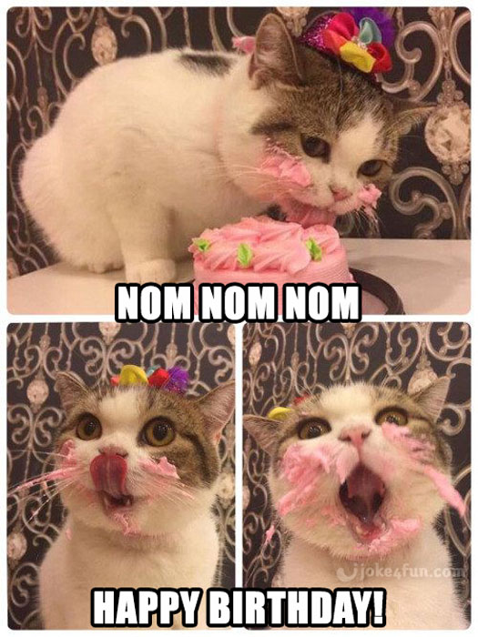 Joke4Fun Memes: Cat wishes u Happy Bday!