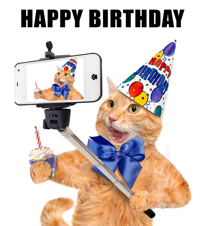 Joke4Fun Memes Happy Birthday You Cat Lover