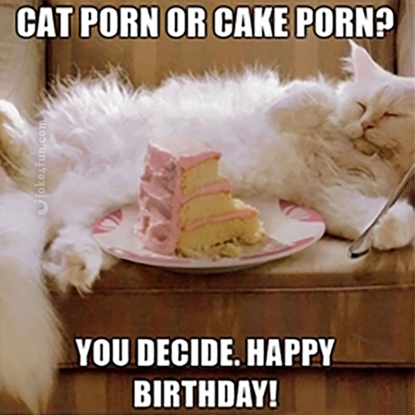 Joke4fun Memes: Cats And Cakes On Your Bday!