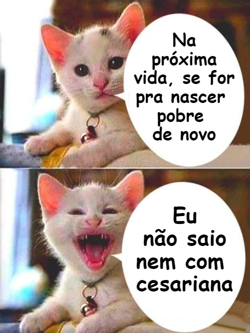 Piadas E Videos Piadas E Vídeos Em Memes Nascer Pobre