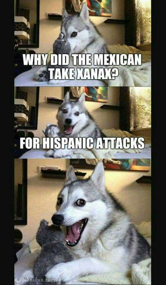 dog knock knock jokes