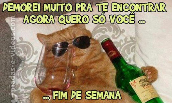 Piadas e Videos - Piadas e Videos -