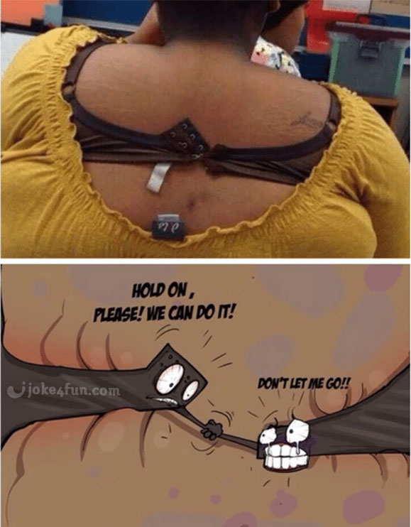 funny bra
