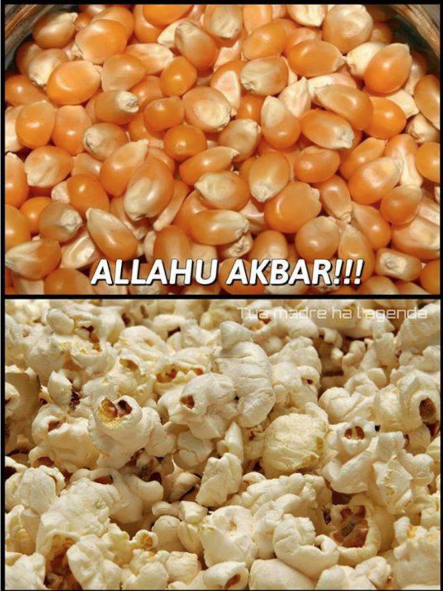 Joke4Fun Memes: Allah Akbar