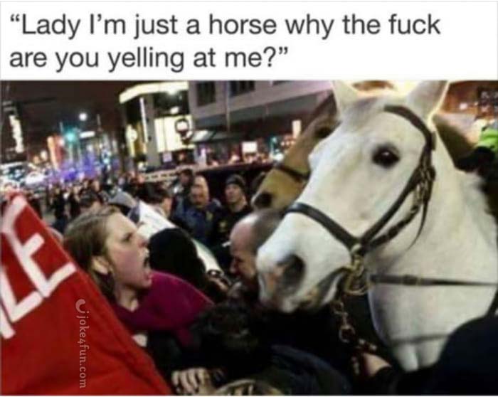 23+ Funny Memes With Horses - Factory Memes