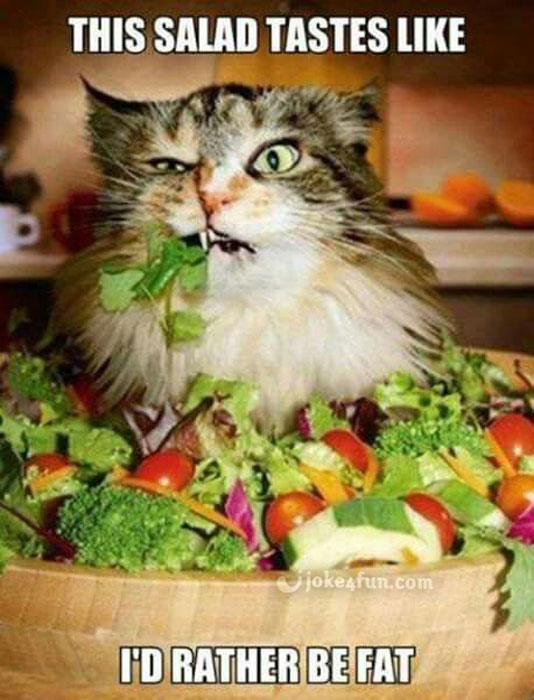 Joke4Fun Memes How I Feel About Salad