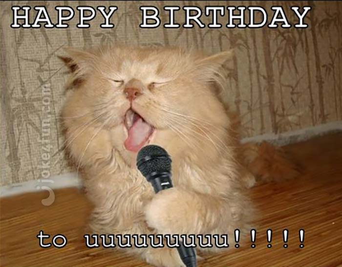 Joke4Fun Memes: Cat will perform a birthday song just for you...