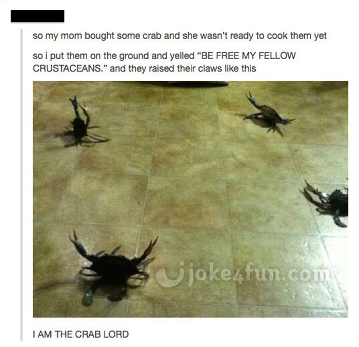 Joke4Fun Memes Crabs ready to fight for freedom